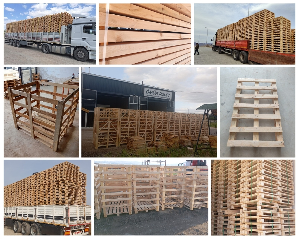 Koog aan de Zaan Houten Kisten, Europallets Groothandel Kopen